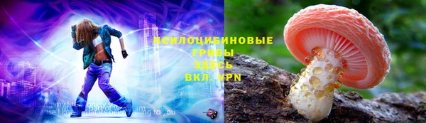 дурь Алексин