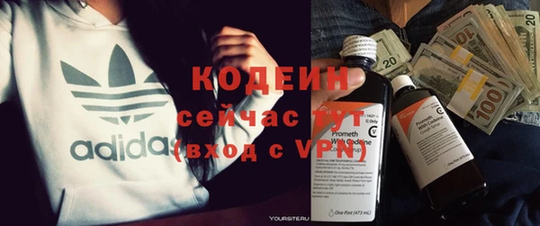 дурь Алексин
