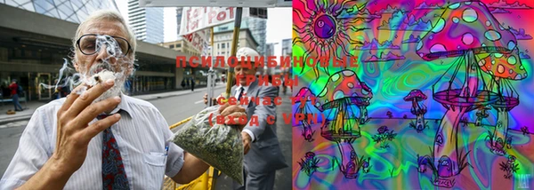 дурь Алзамай