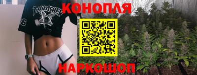 шишки Краснознаменск