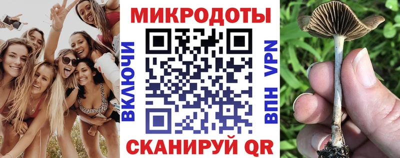 наркошоп  Сыктывкар  Галлюциногенные грибы Magic Shrooms 