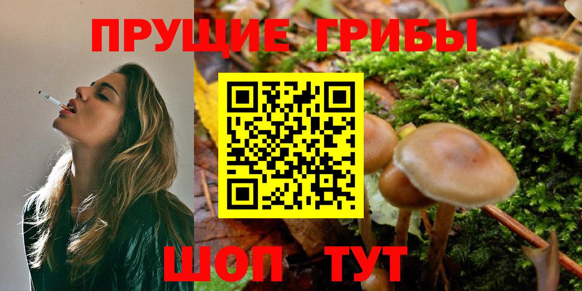 Галлюциногенные грибы Cubensis Сыктывкар