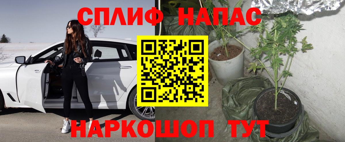 Шишки марихуана Ganja  Шишки марихуана OG Kush  Бошки марихуана Bruce Banner  Вход с VPN  Сыктывкар  МАРИХУАНА VHQ 